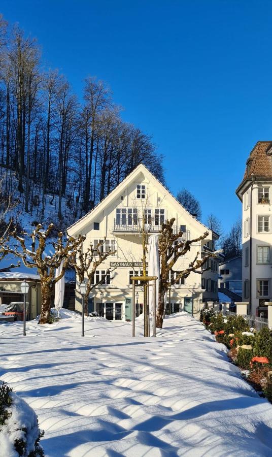 Apartment Meinradsberg Mit Balkon Einsiedeln Exteriér fotografie